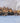 Walrus City