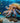 Crawling Octopus
