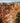 Hoodoos at Bryce Canyon National Park