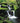 Wet Woodland Waterfall