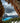 Peyto Lake, Banff National Park, Alberta, Canada