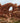 Turret Arch in Arches National Park, Utah