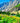 Scenic Glacier National Park