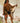 E'e-a-chín-che-a, Red Thunder, Son of Black Moccasin