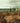 Bird's-Eye View of the Mandan Village