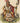 Keokuk, Chief of the Sacs and Foxes