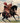 Kee-o-kúk, Chief of the Tribe on Horseback