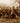 Officers 3rd Pennsylvania Heavy Artillery
